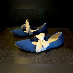 Rothy's Mary Jane Sapphire Flat Size 6